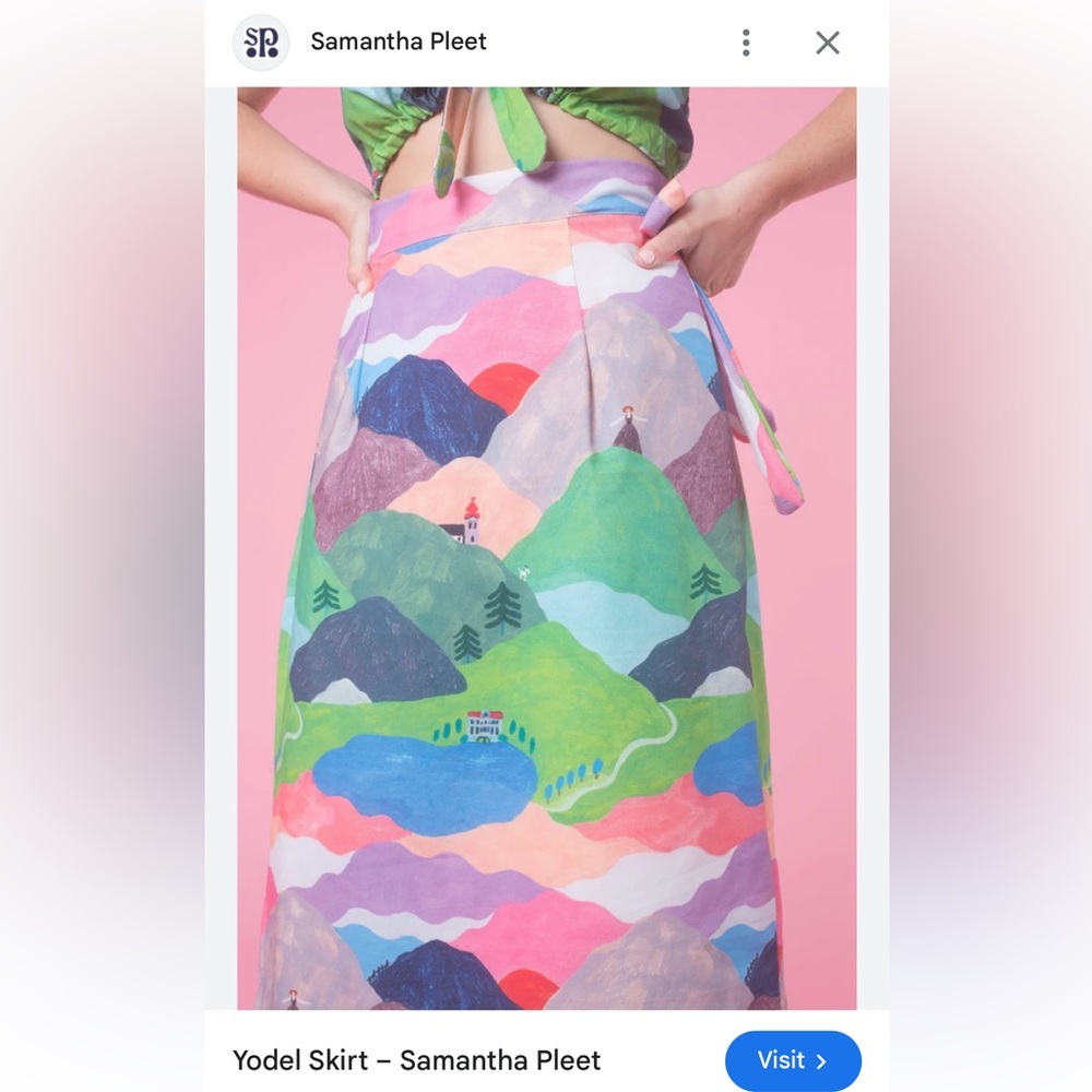 Samantha Pleet Multicolor Scenic A-Line Skirt - Picture 2 of 5